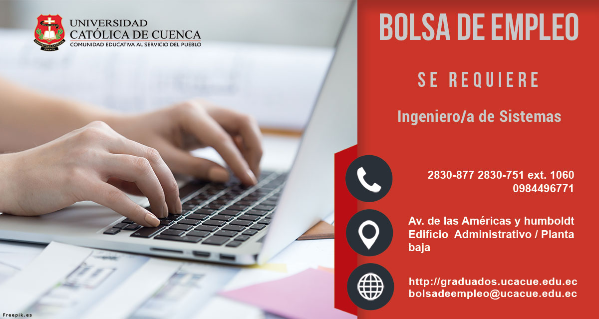 ingeniero sistemas