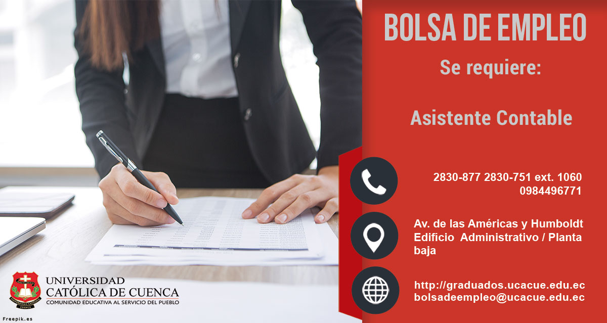 Asistente contable