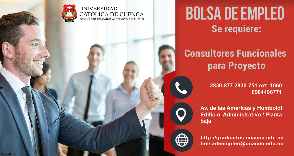consultores funcionales proyecto