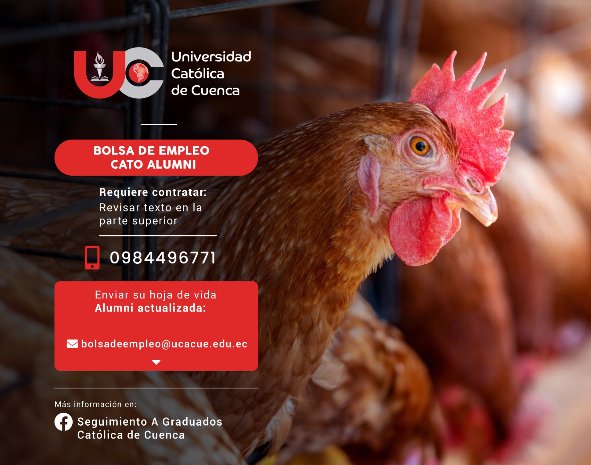 Importante Centro de faenamiento industrial de aves, requiere contratar para la ciudad de Cuenca, profesional Médico Veterinario o Ingeniero de Alimentos, Graduado en la Universidad Católica de Cuenca