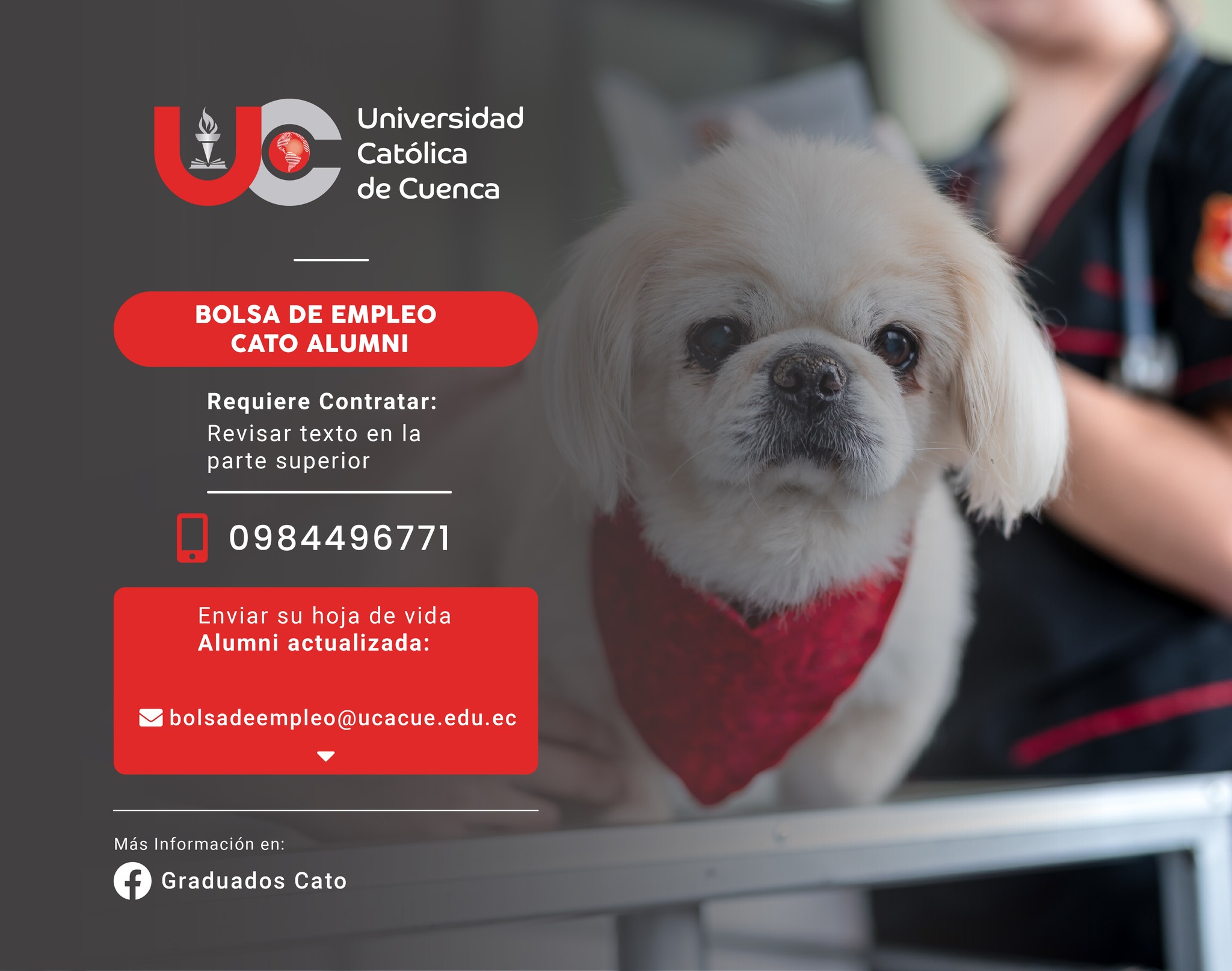 Importante Centro de Cuidado diario y hospedaje canino, requiere contratar para la parroquia Cumbe (a 20 min de Cuenca), profesional en Medicina Veterinaria, Graduado/a en la Universidad Católica de Cuenca